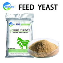 Cangzhou Feed Factory Precio al por mayor de levadura nutricional con alto contenido proteico